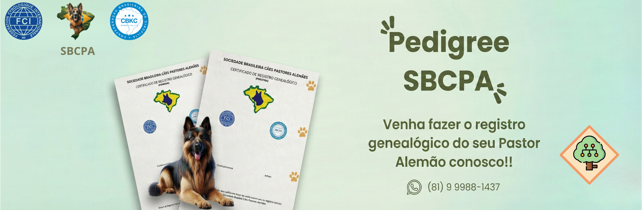 Evento em São Paulo